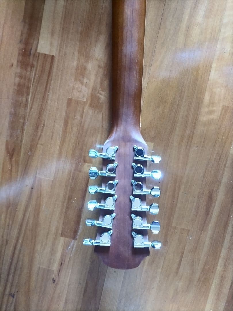 Aria 12弦エレアコ　FET-12-SPL N