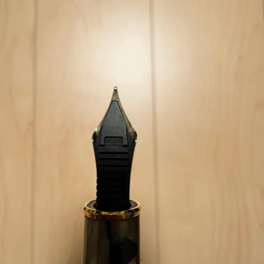 【未使用品】プラチナ万年筆　セルロイド　イシガキ　センチュリー3776 M字