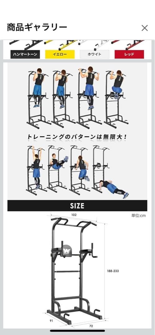 BARWING(バーウィング) ぶら下がり健康器