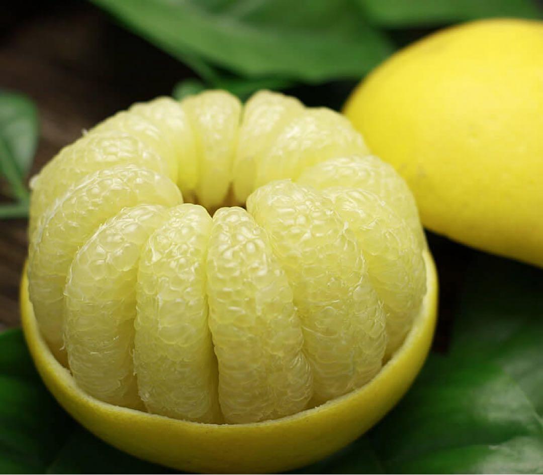 文旦特大２０キロ