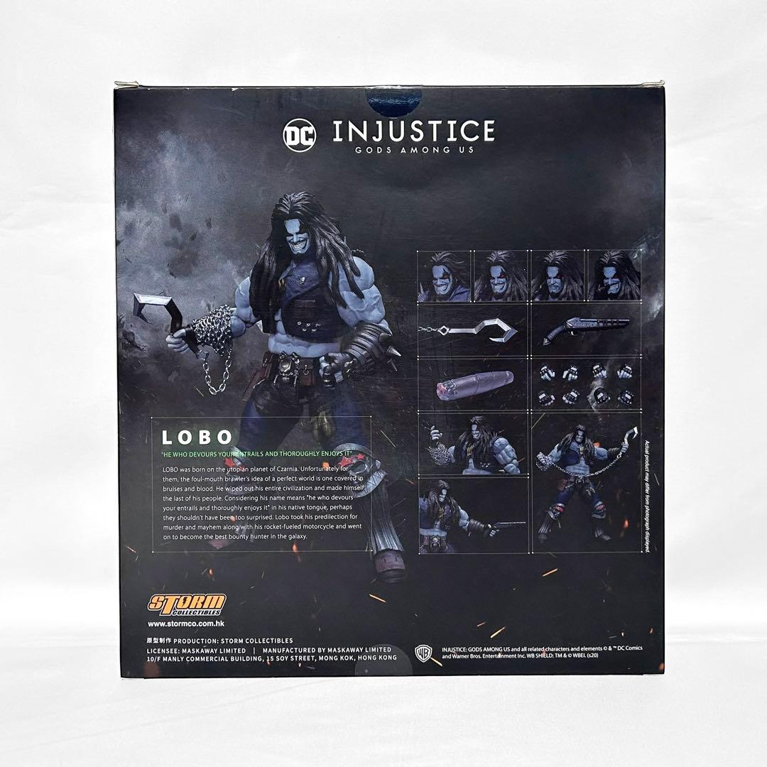 STORM ストーム インジャスティス ロボ フィギュア アクションフィギュア