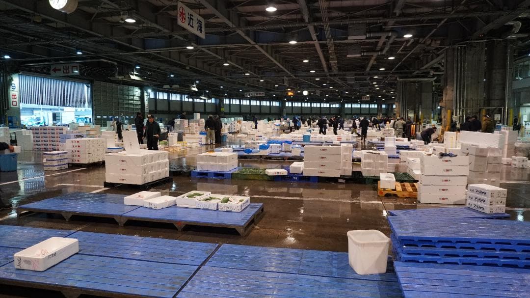 数量限定‼️在庫分のみ‼️ 【ボイルズワイ蟹(4~5肩)】冷凍2kg前後