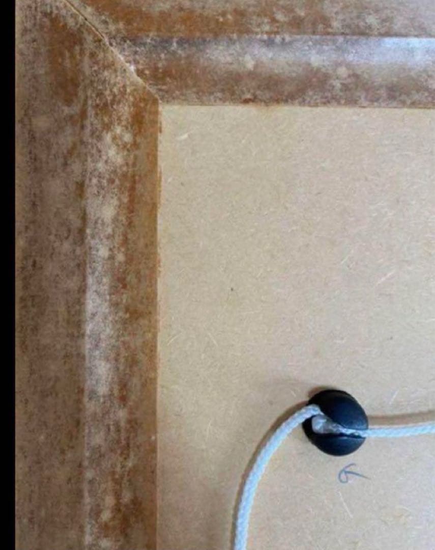 英国　Kew Garden オーキッドのスケッチのプリント木製フレ入り付き