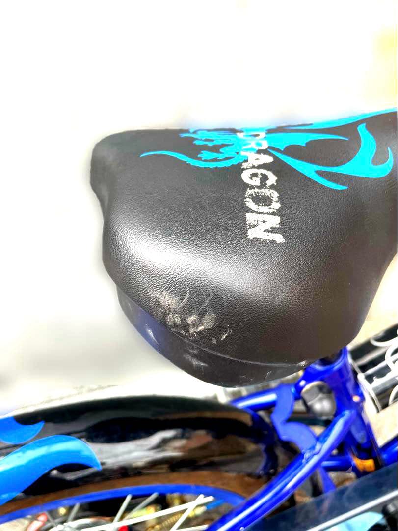 ［手渡し限定］自転車 ダイワサイクル ファイヤー ドラゴン キッズ　18インチ