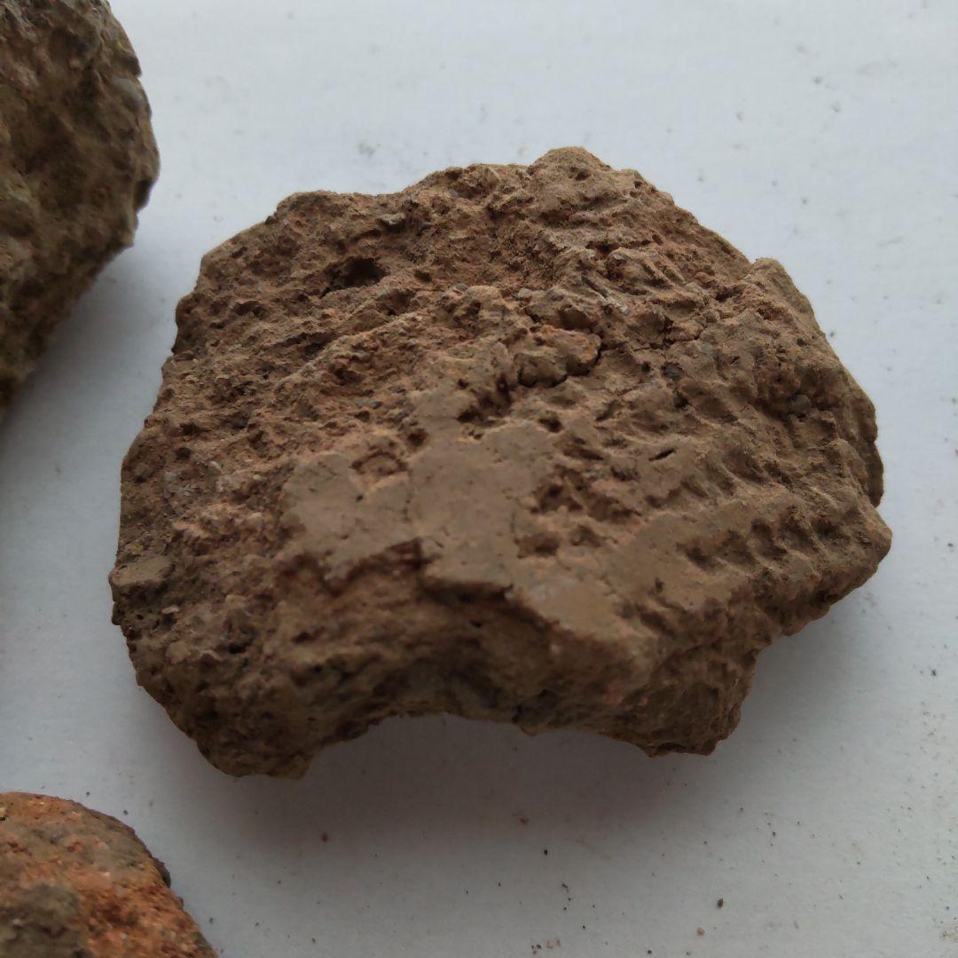 ★本物の縄文土器★(新潟県出土)21、5点