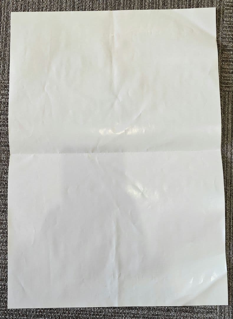 劇場版 機動戦艦ナデシコ ホシノ ルリ 交通安全ポスター シートベルト 非売品