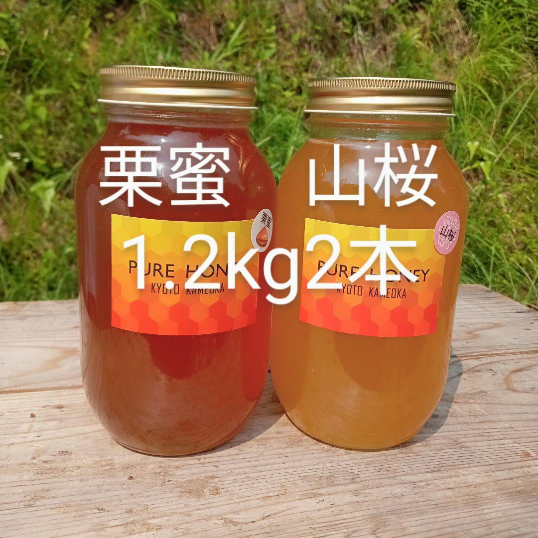 蜂蜜　マミちゃんママになります