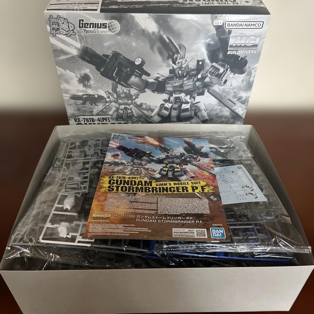 MG 1/100 ガンダムストームブリンガー P.F.