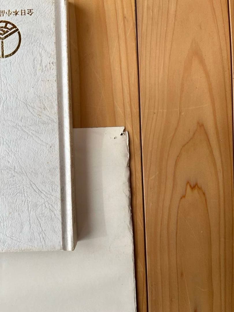 【激レア】長渕剛　昭和レトロポスター