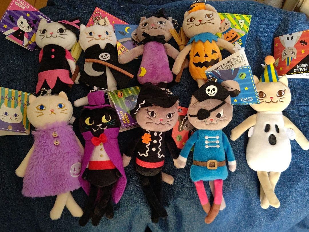 KALDI カルディ くたくたネコ