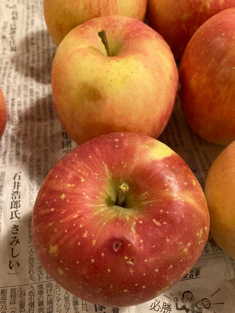 【ご確認用】新鮮なリンゴ 中サイズ 赤と黄色のグラデーション