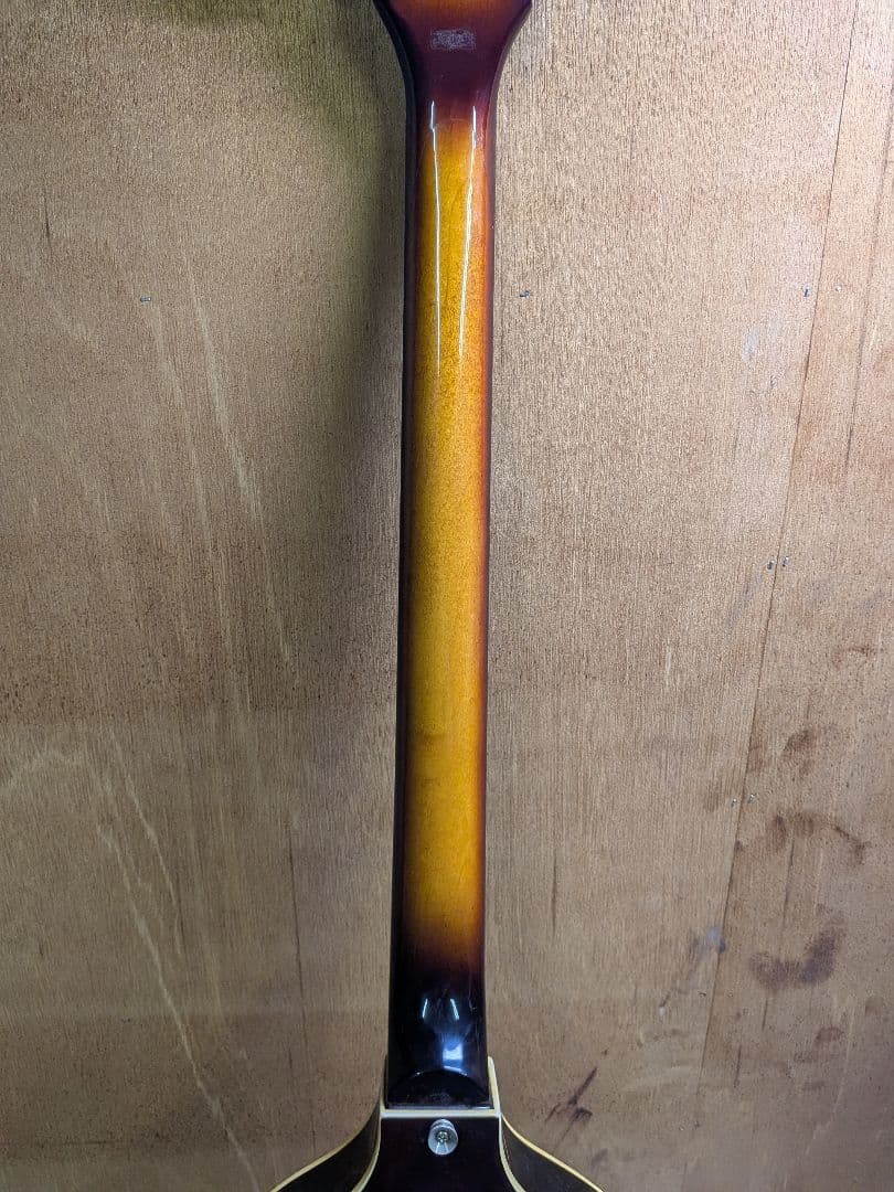 Academy バイオリンベース ケース・ストラップ付き