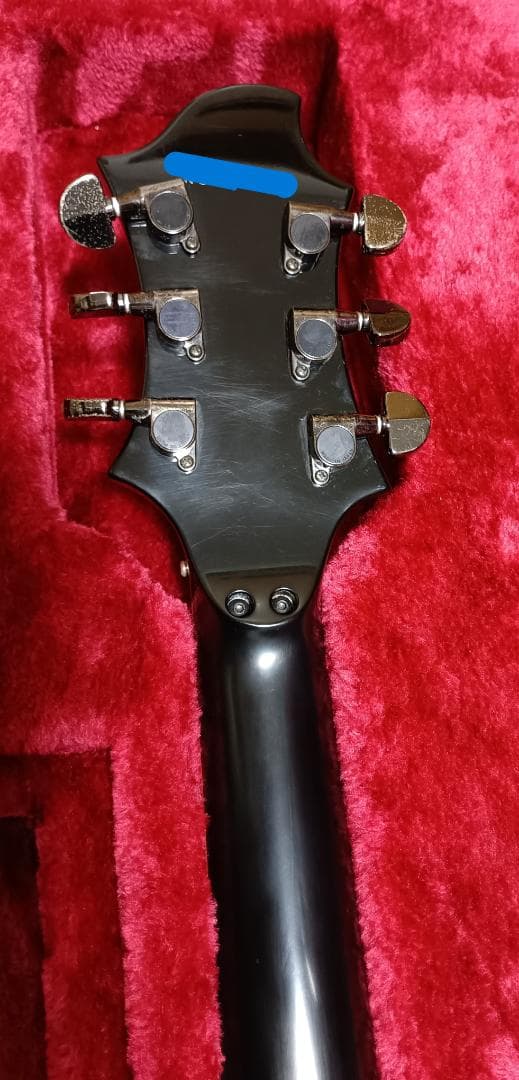 【SUGIZO直筆サイン入り！】 LUNASEA　TLRS　　　ESP R-Ⅰ