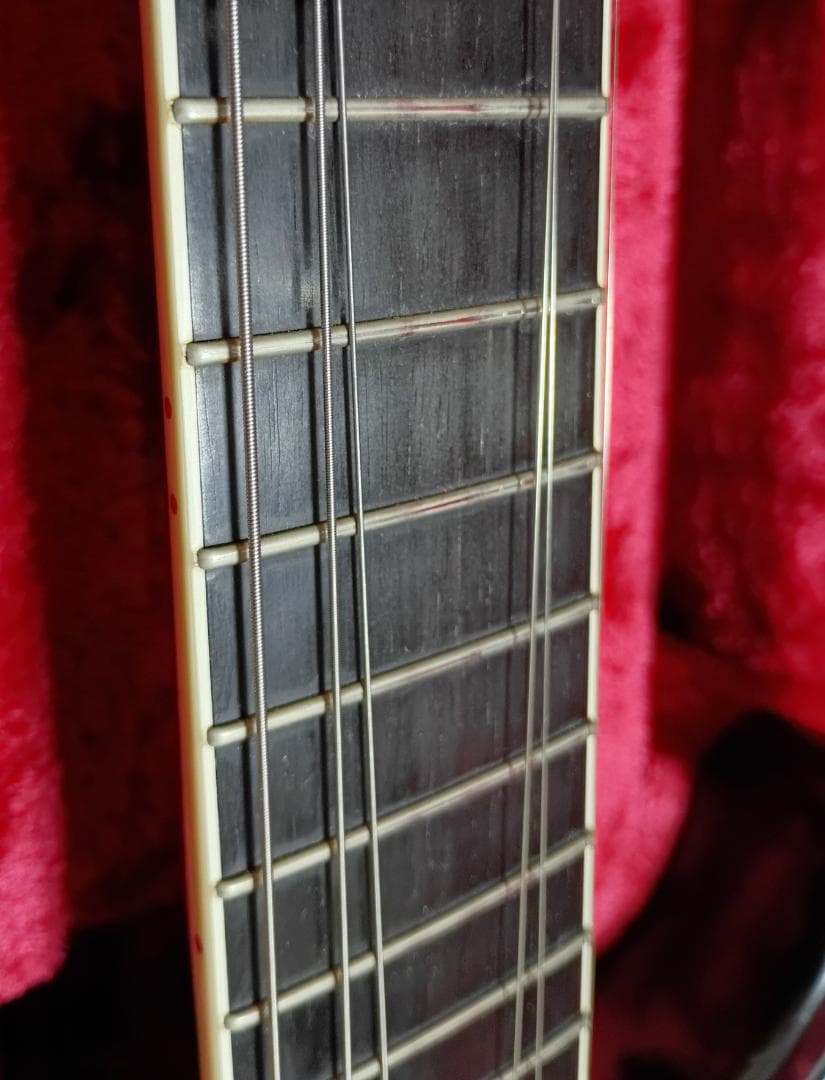 【SUGIZO直筆サイン入り！】 LUNASEA　TLRS　　　ESP R-Ⅰ