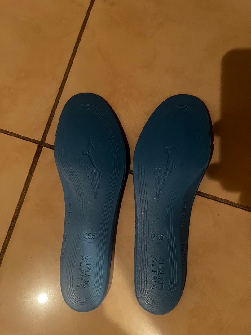 ミズノアルファJapan 25.5