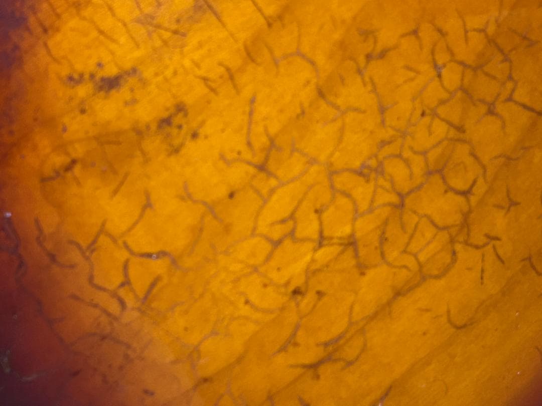 G*F様 Photogenic　　セミアコ　　　現状