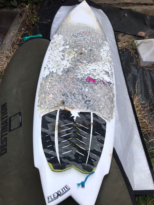 プレセボ　リップクエスト　6.1 小波から頭半