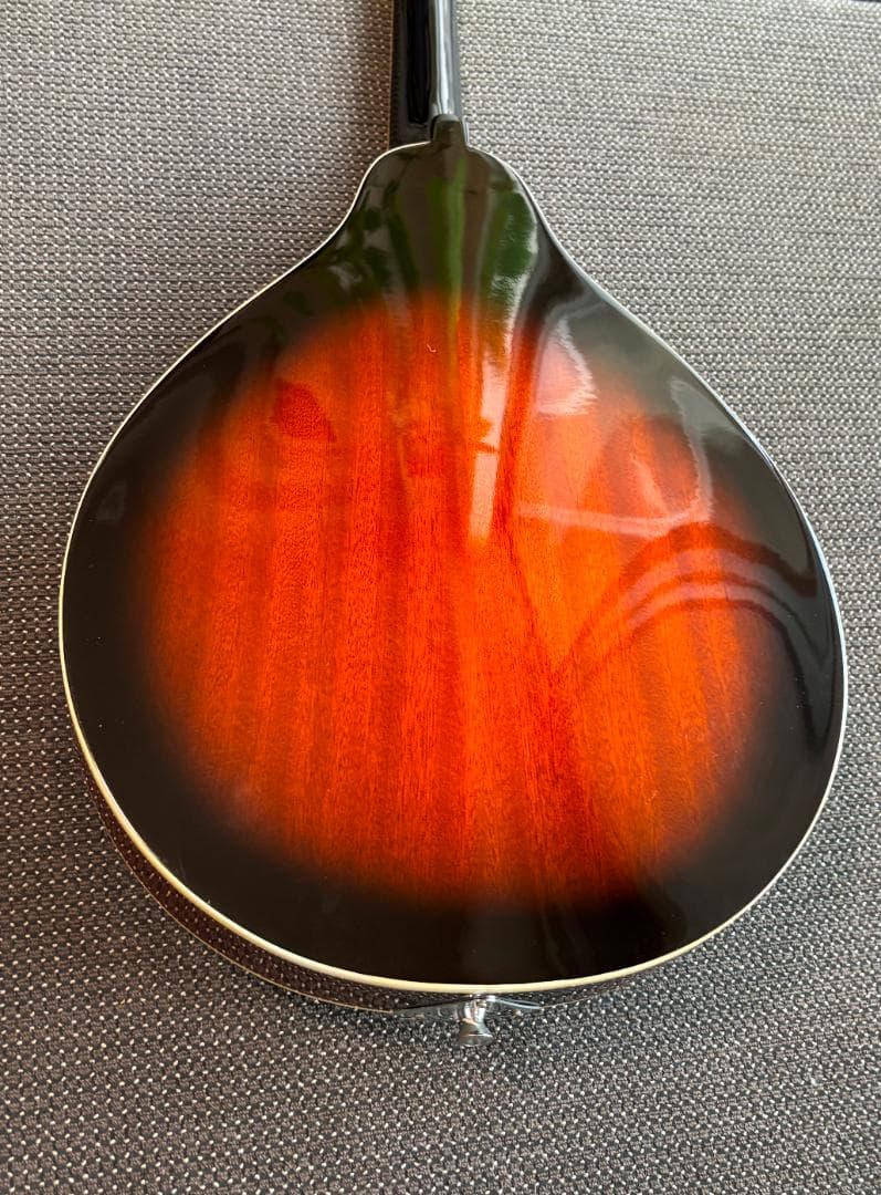 【美品と思います】Aria AM-20 マンドリン　ハードケース付き　送料無料