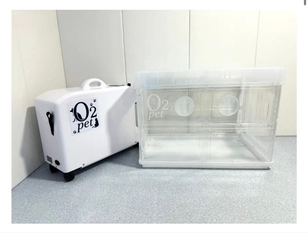 あにまるらいふ猫丸