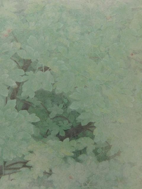 渡辺信喜、【無花果】、希少な額装用画集より、新品額装付