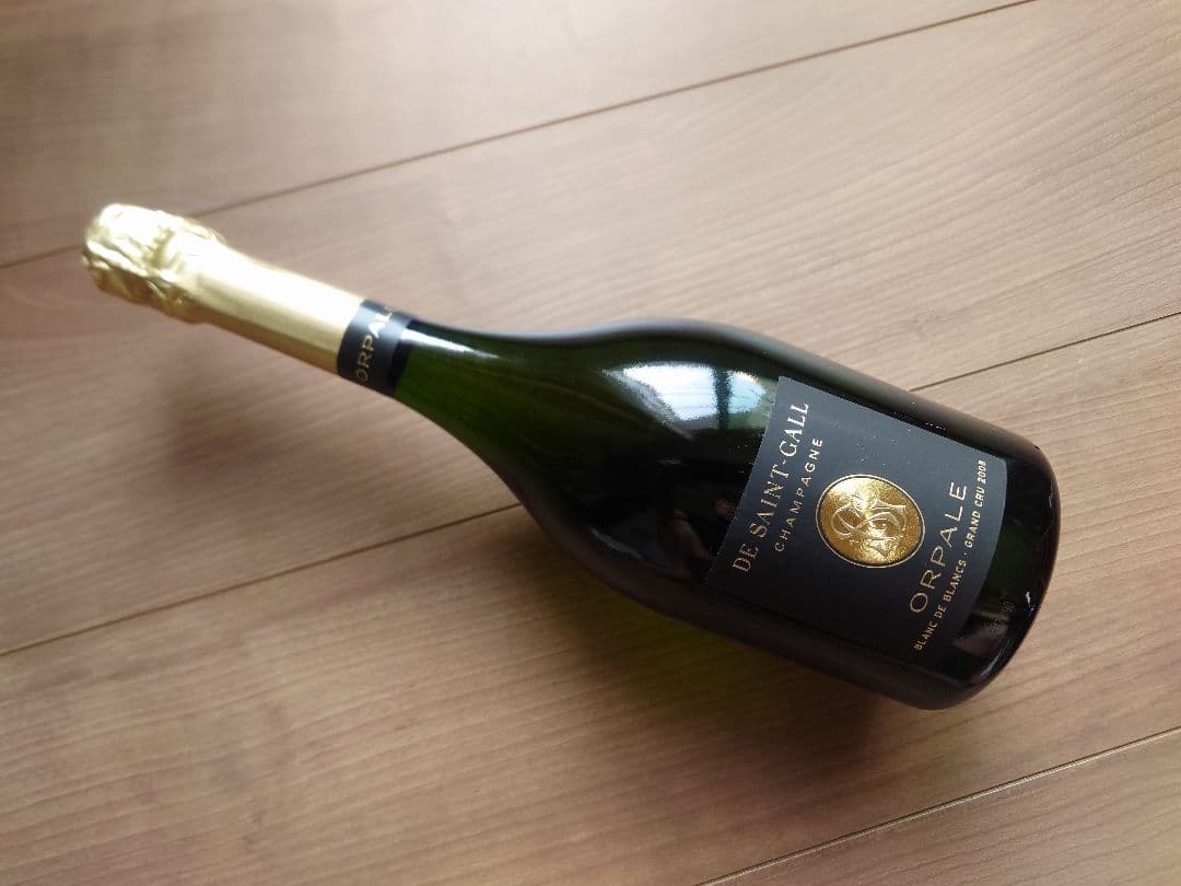 サン・ガール　オルパール　2008