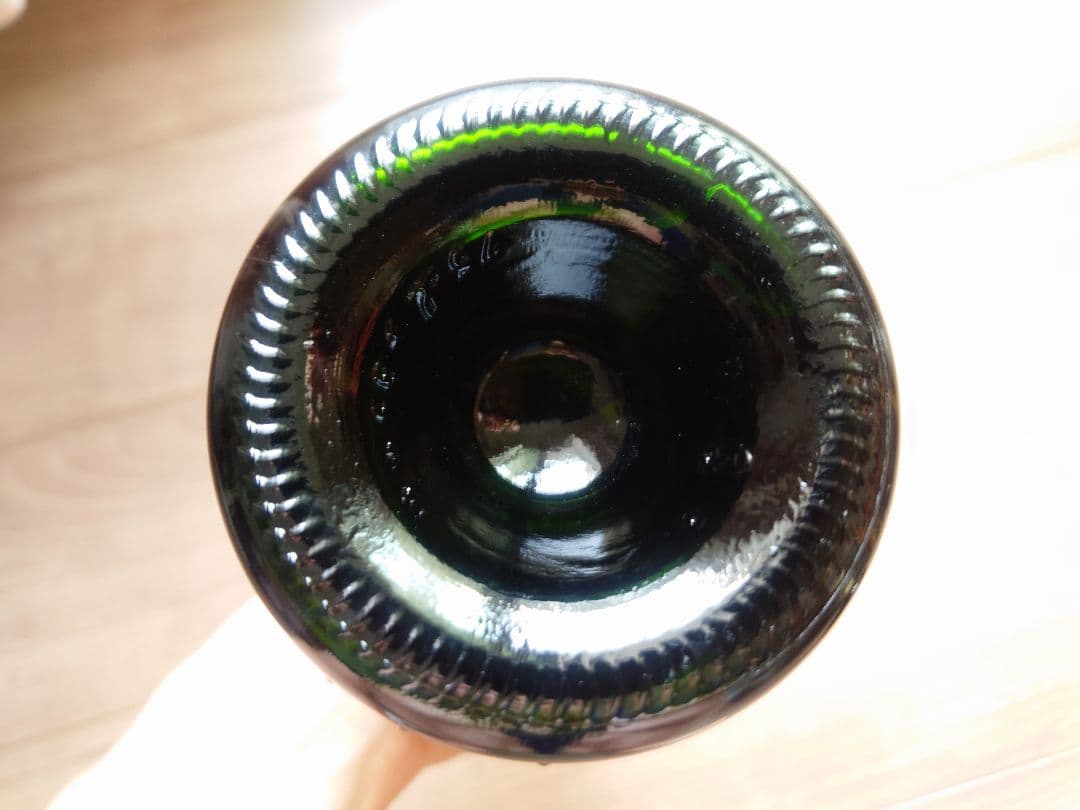 サン・ガール　オルパール　2008