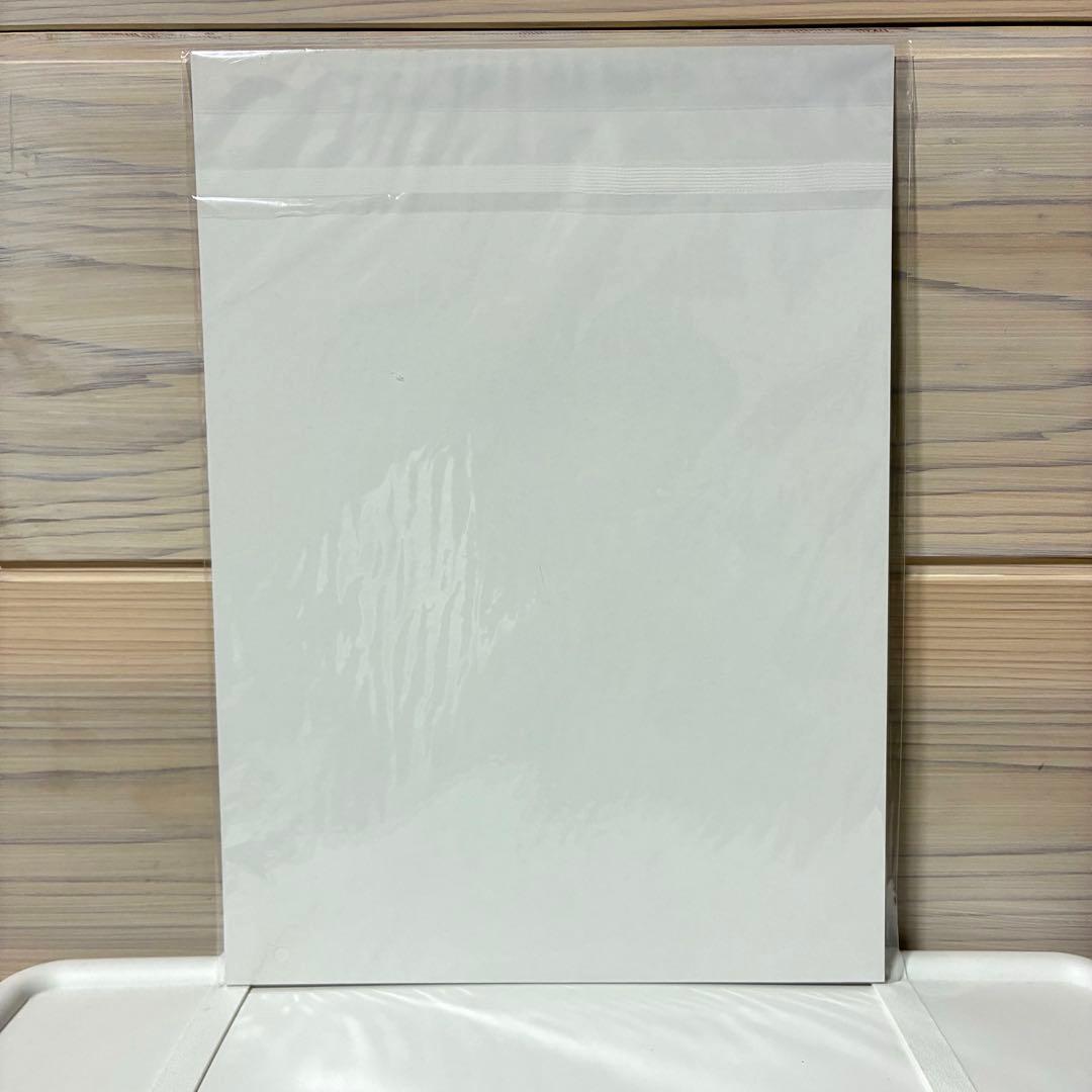 未使用品★進撃の巨人★リヴァイ★ハンジ★アートボード★アニメイト特典