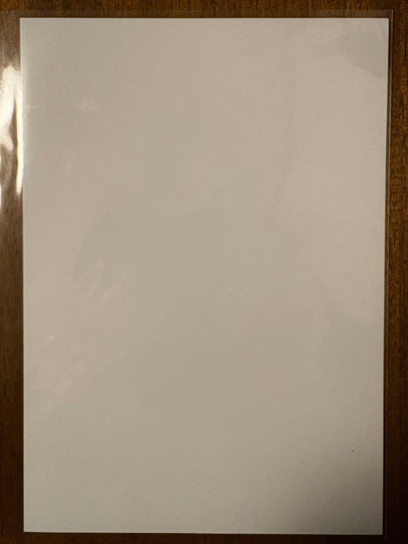 江ノ電×青春ブタ野郎はランドセルガールの夢を見ない コラボ切符券