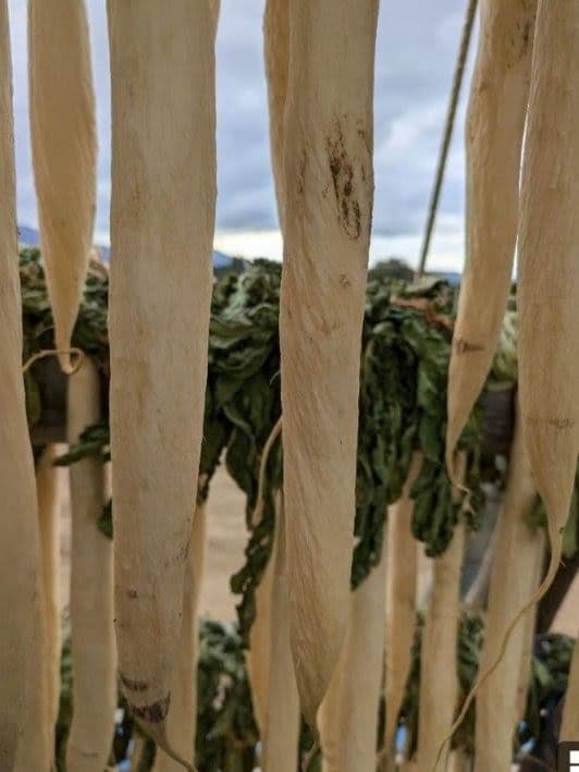 干し大根　　NENE