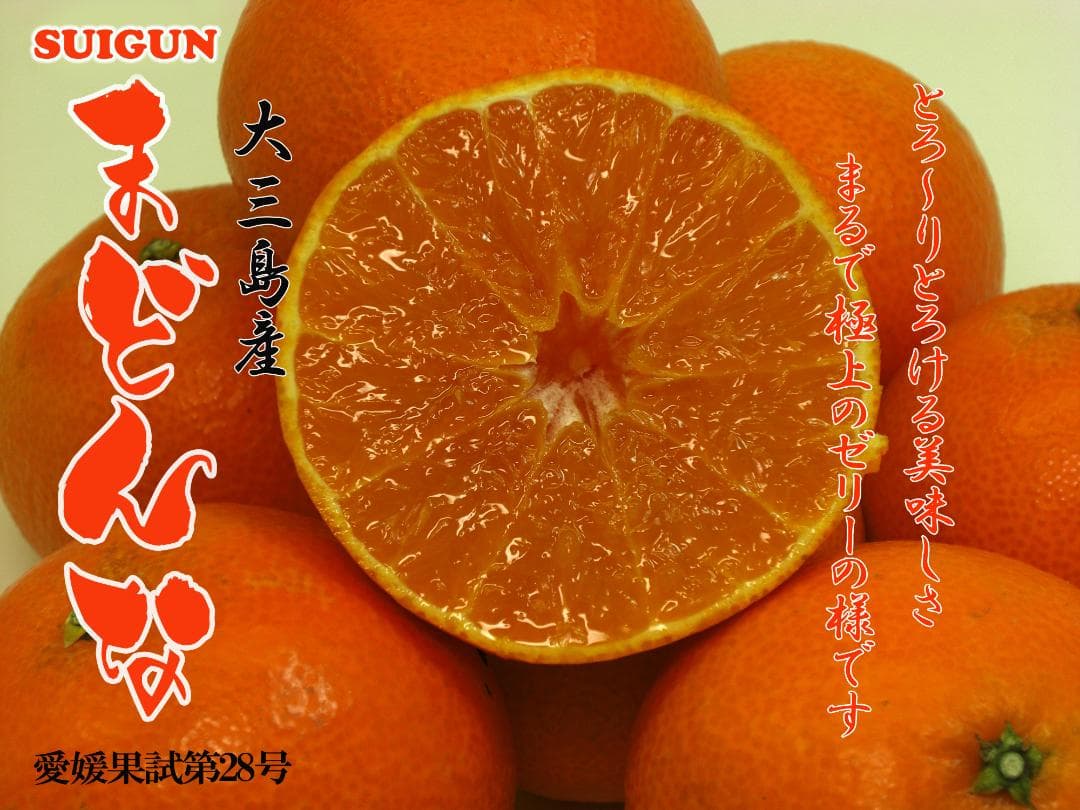 【Ｋ】M玉SUIGUNマドンナ10Kg　　【5Kg×２箱縛りでの発送】