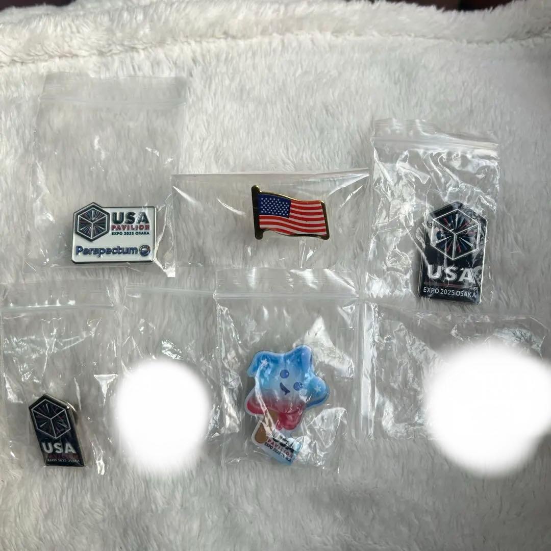RARE EXPO 2025 USA Pavilion ピンバッジ 7個セット