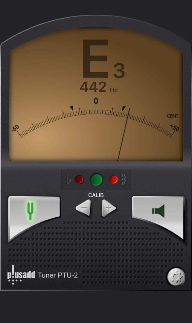 チューンド•タイゴング ハイオクターブ e' 中古