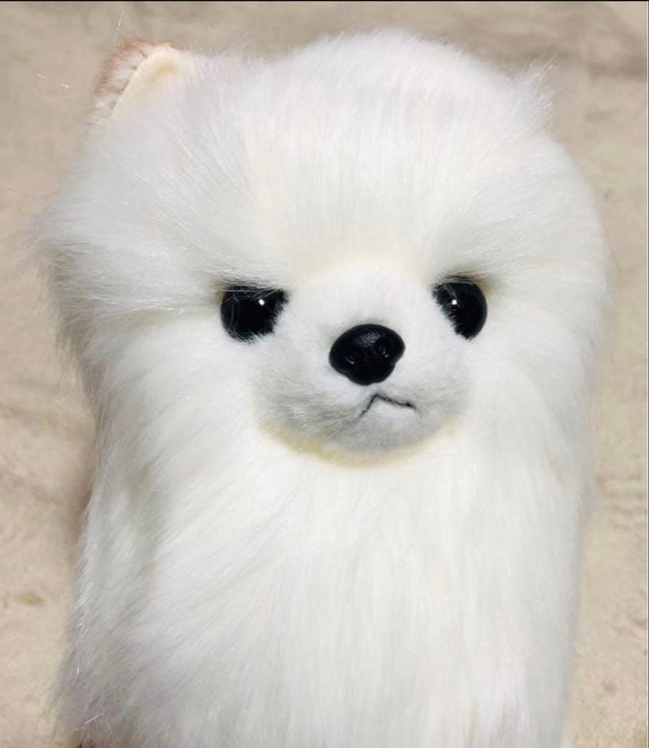 犬　三英　スピッツ　ポメラニアン　ぬいぐるみ　ホワイト