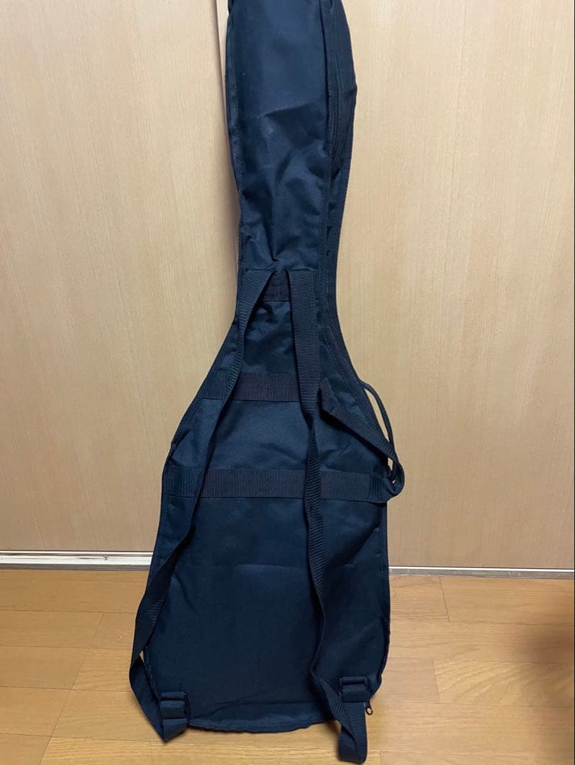 Line 6 Variax600　本体+ケース