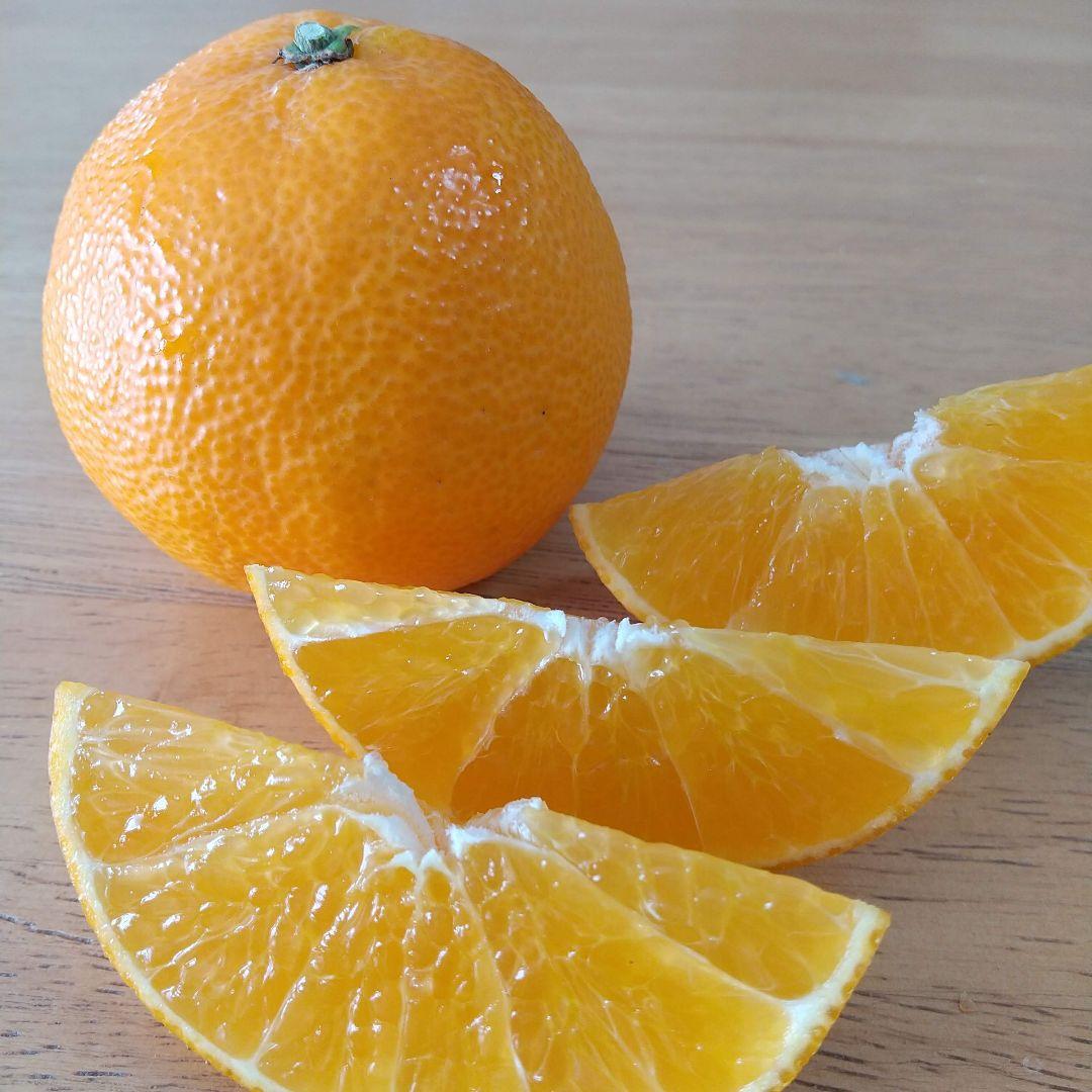 386愛果 まどんな 家庭用 10kg