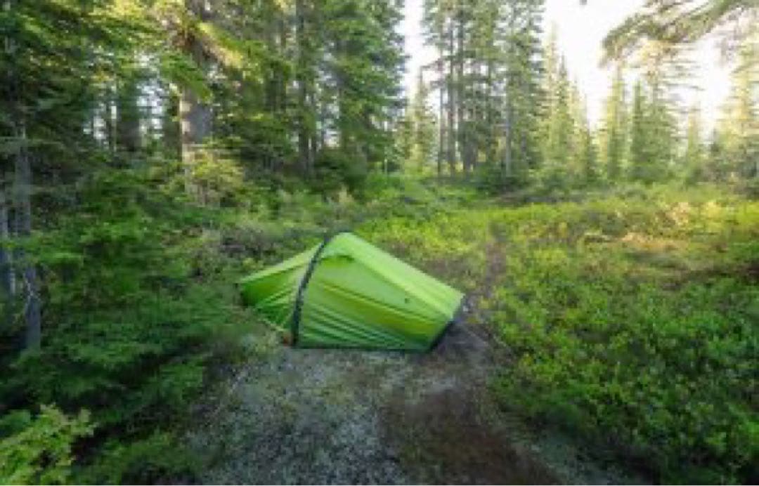 HILLEBERG ヒルバーグ　アクト　30周年モデル