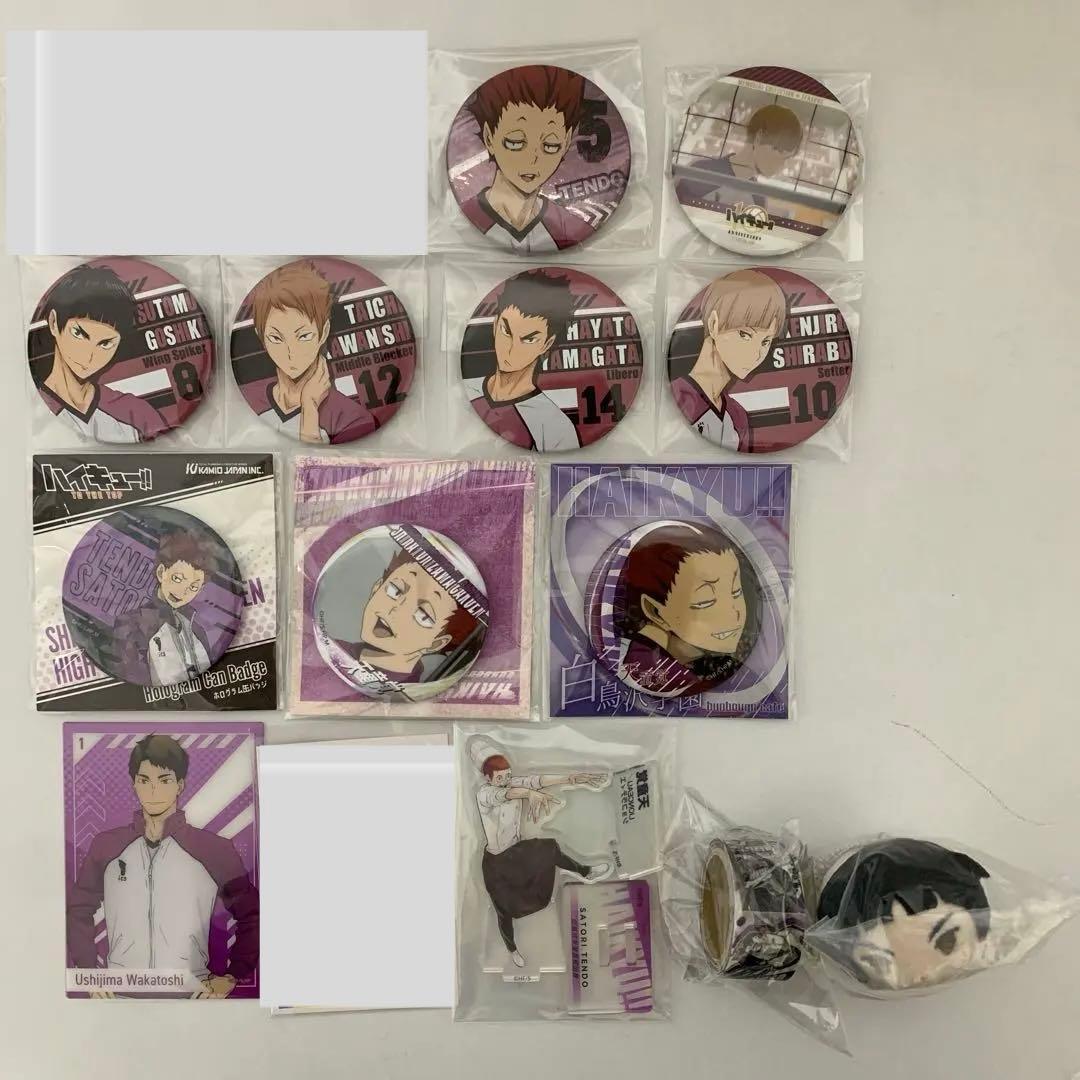 ハイキュー 白鳥沢 牛島若利 天童覚 白布賢二郎 五色工 缶バッジ