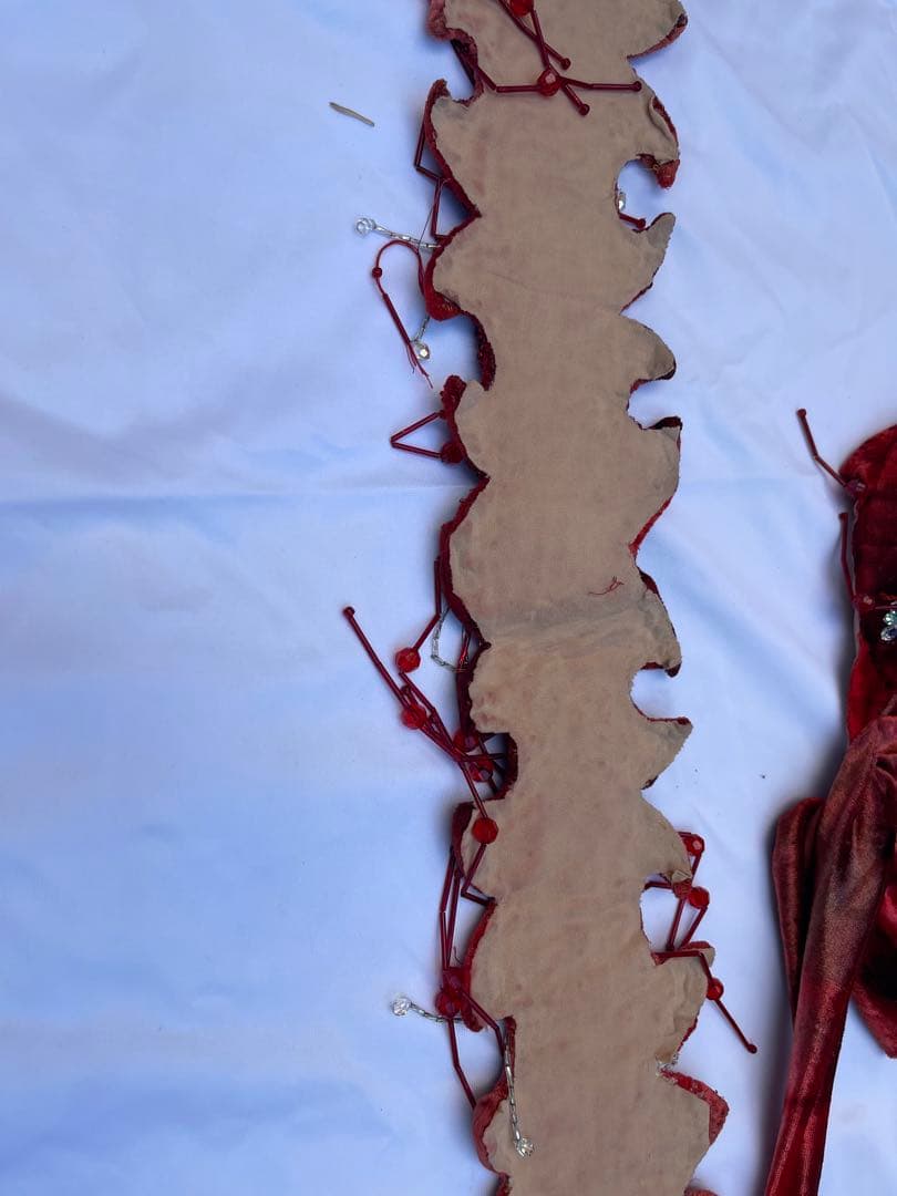 ブラジルベリーダンス セットアップ 赤紫