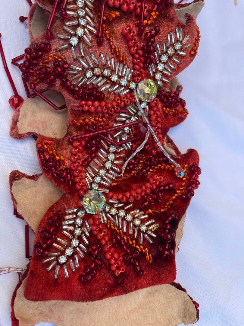 ブラジルベリーダンス セットアップ 赤紫