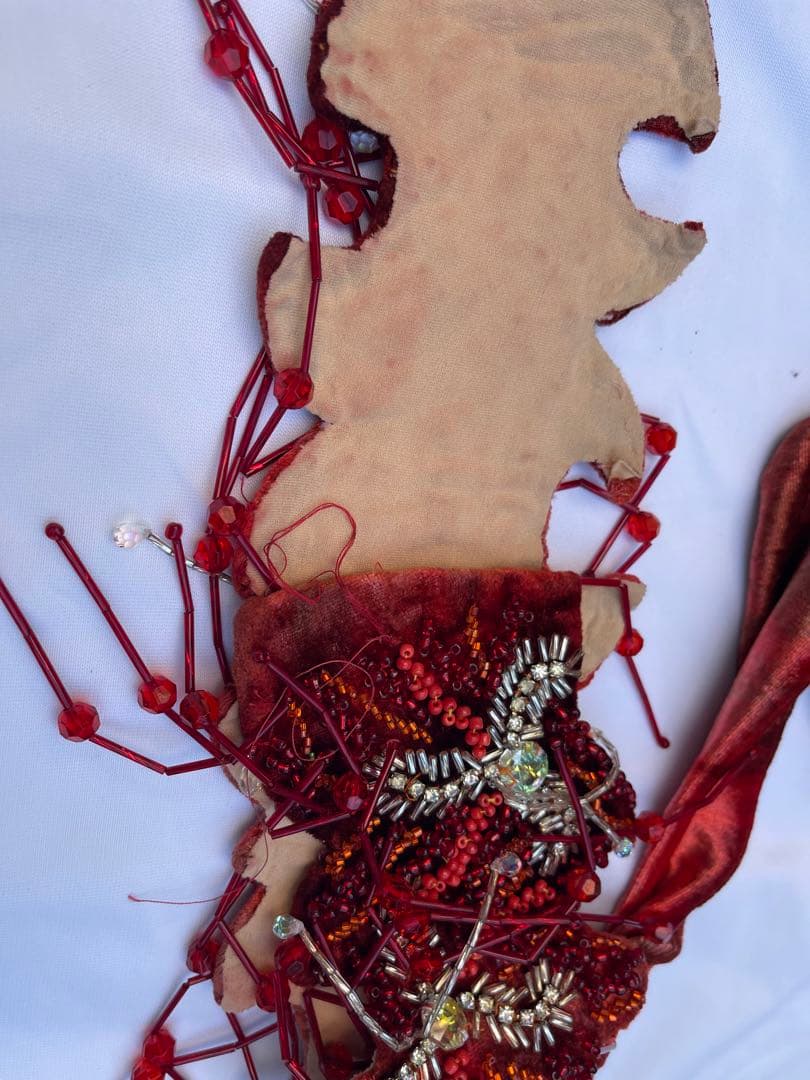 ブラジルベリーダンス セットアップ 赤紫