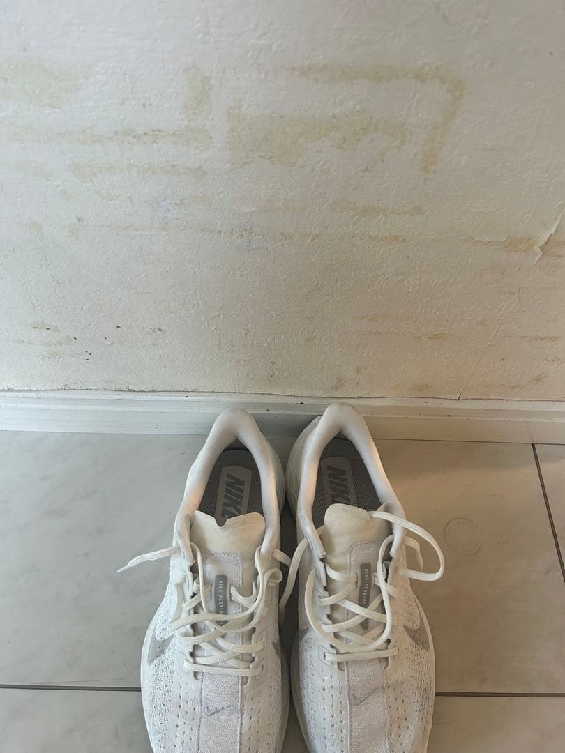 ペガサスプラス