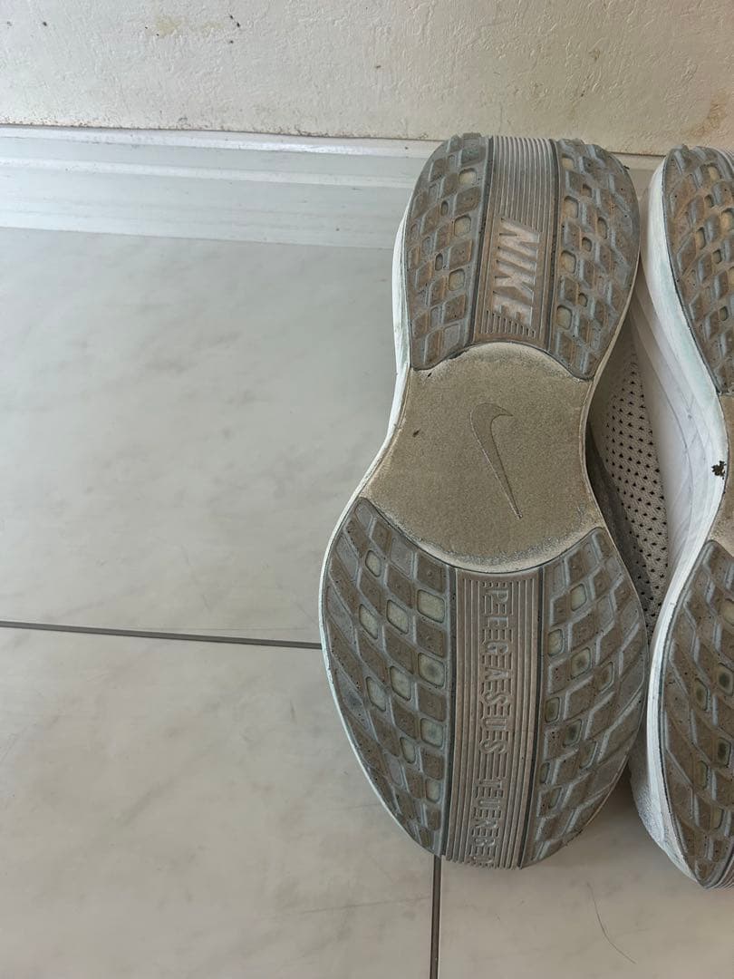 ペガサスプラス