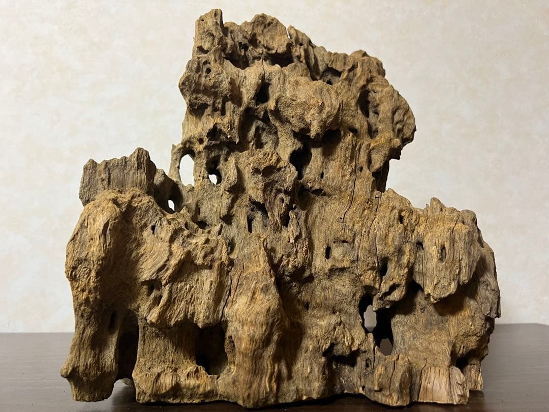 XM-350 流木　マシンガンウッド　アクアリウム　ブランチウッド