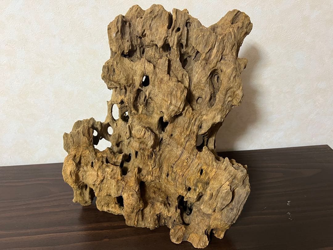 XM-350 流木　マシンガンウッド　アクアリウム　ブランチウッド