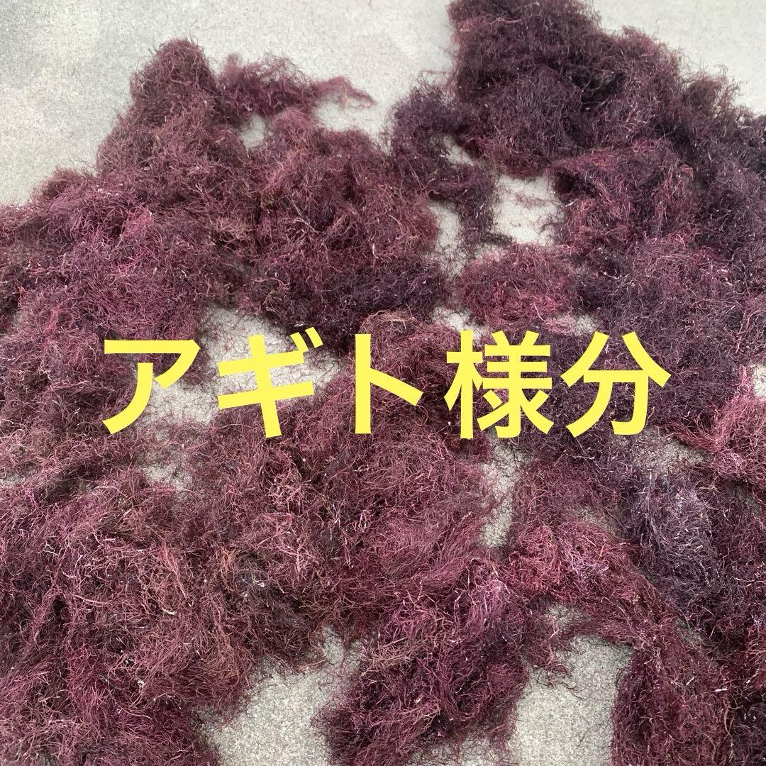 三重県産 乾燥 天草 6キロ アギト