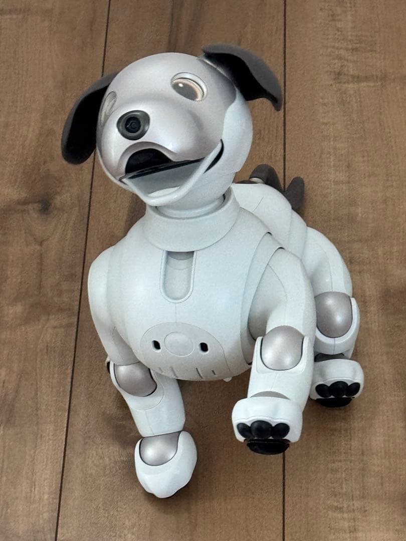 その他 aibo ERS-1000