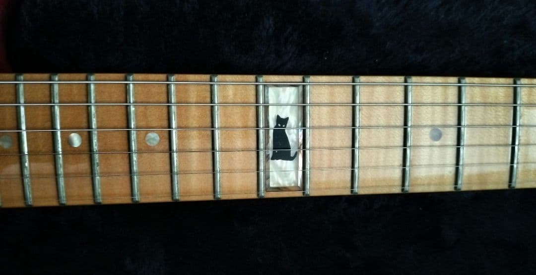 Fernandes LA-240KK L'Arc-en-Ciel kenモデル