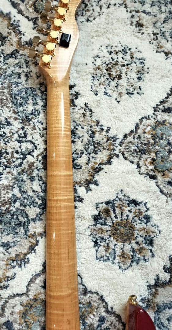 Fernandes LA-240KK L'Arc-en-Ciel kenモデル