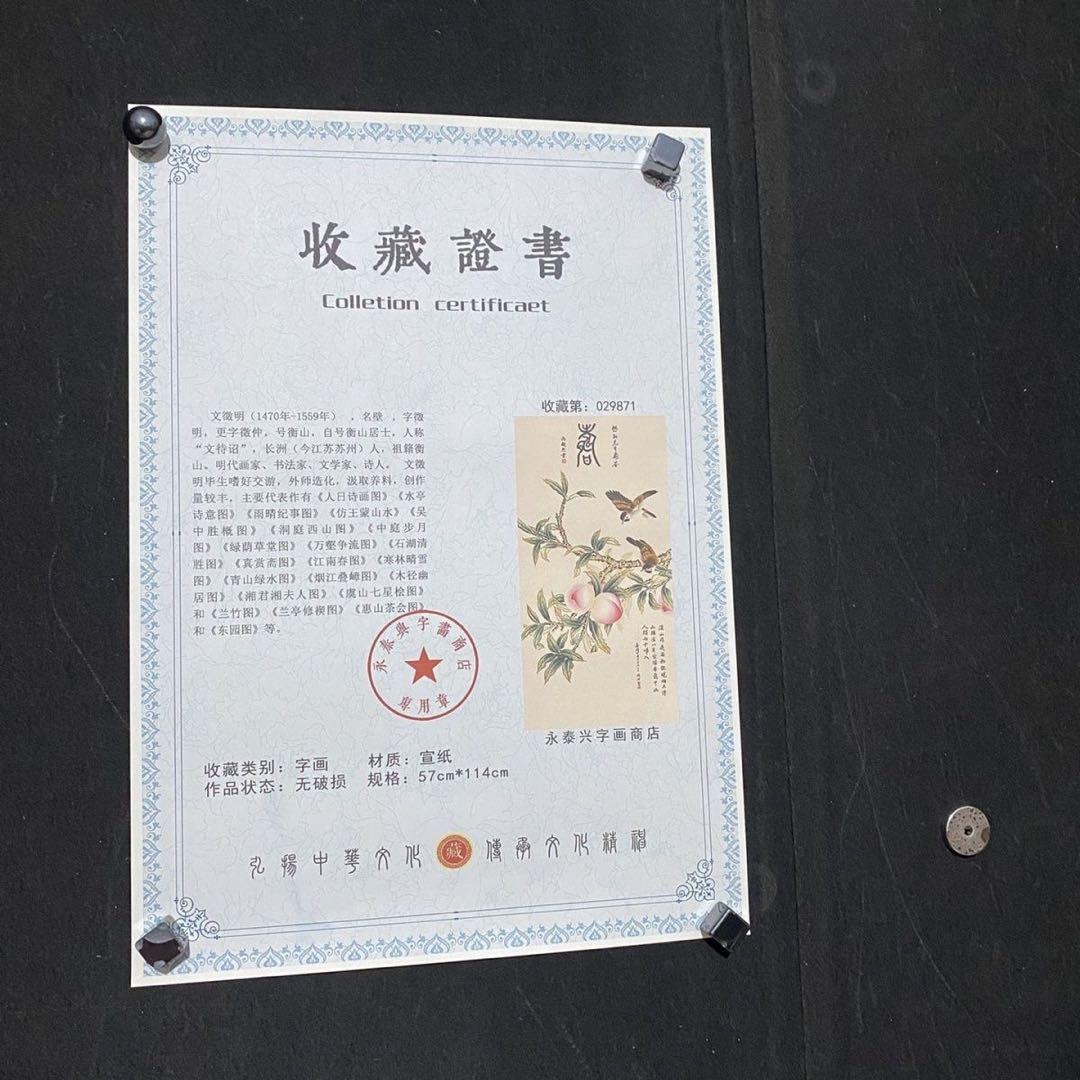 中国画 文徴明 麻寿図 四尺中堂 掛け軸／防偽証書付き