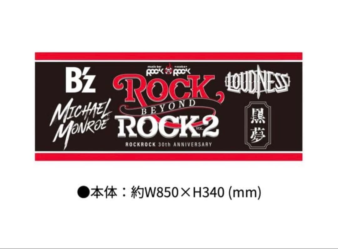 【新品】ROCK BEYOND ROCK フーディー タオルセットB'z